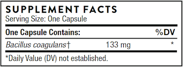 BACILLUS COAGULANS