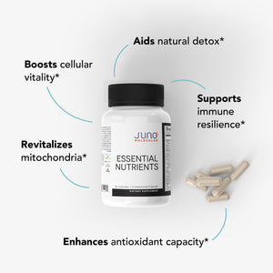 Essential Nutrients - Multivitamin