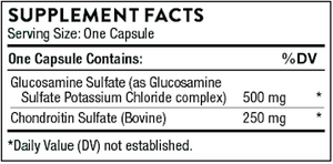 Glucosamine & Chondroitin